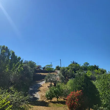 Raches Skopelos * Glossa